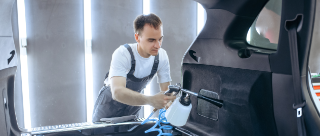 mobile auto detailing